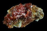 Shiny Red Vanadinite Crystals - Morocco #32336-1